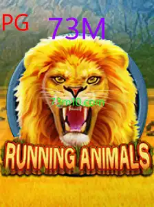 RunningAnimals